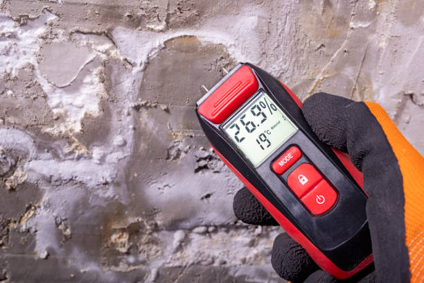 Best Mold Damage Repair  in Cedar Hill, TX